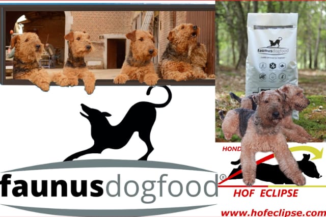 Faunus Dogfood